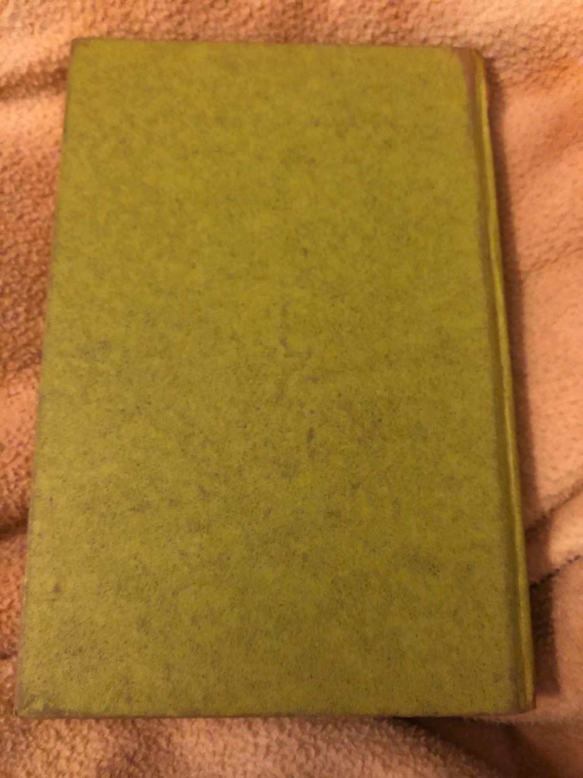 Beth Day LITTLE PROFESSOR OF PINEY WOODS – Laurence Jones 1955 HC 1st Edition