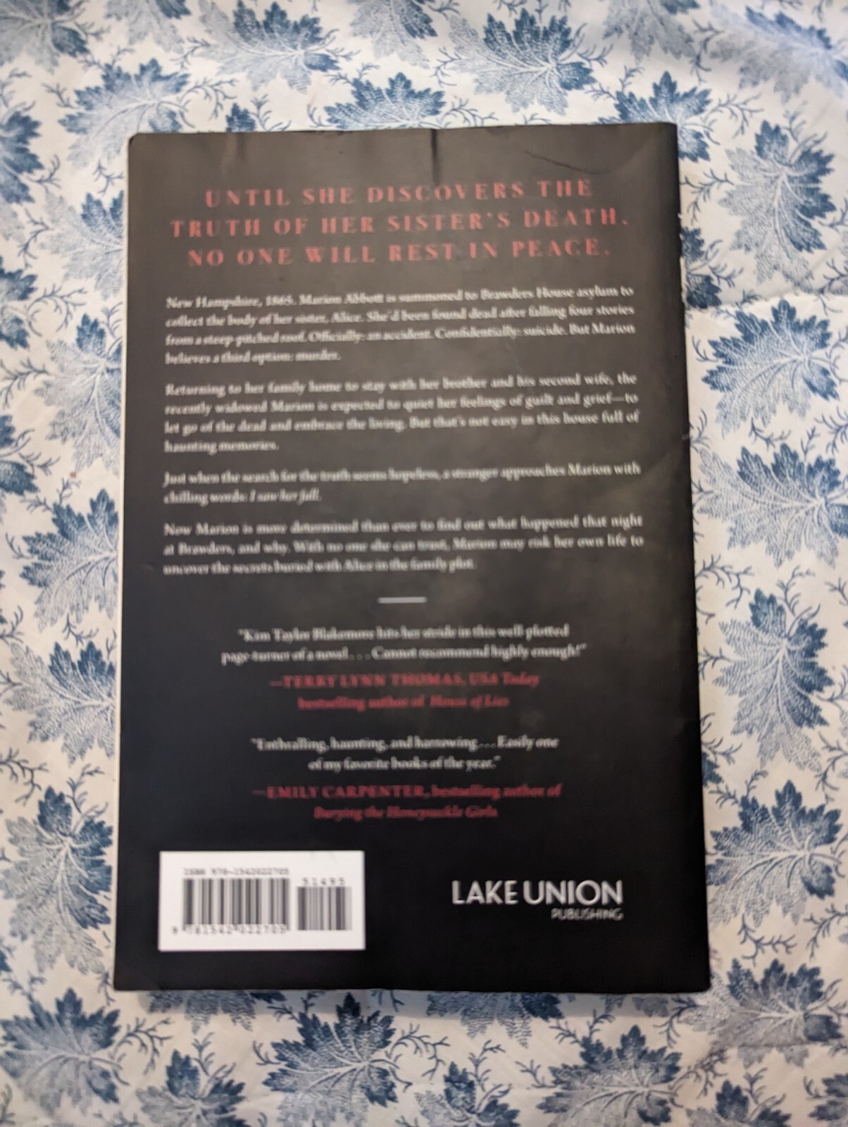 After Alice Fell : A Novel by Kim Taylor Blakemore (2021, Trade Paperback)