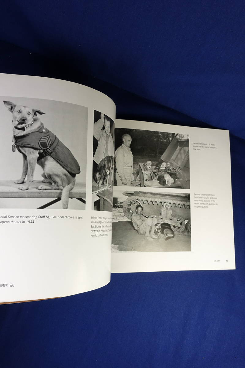 BUDDIES L Douglas Keeney WWII DOG PHOTO BOOK Heartwarming Photos GIs & Dogs WW2