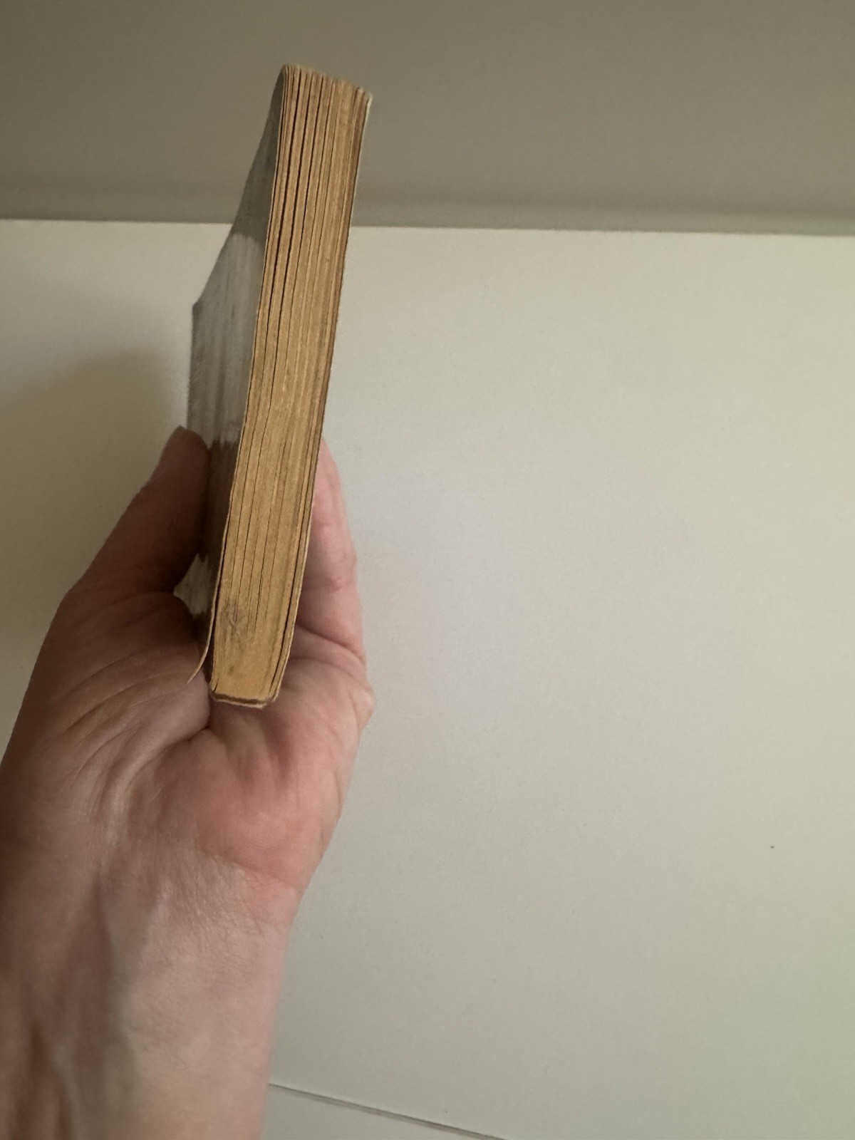A Spy in the House of Love Anaïs Nin 1974 Bantam Vintage PB Literary Fic Classic