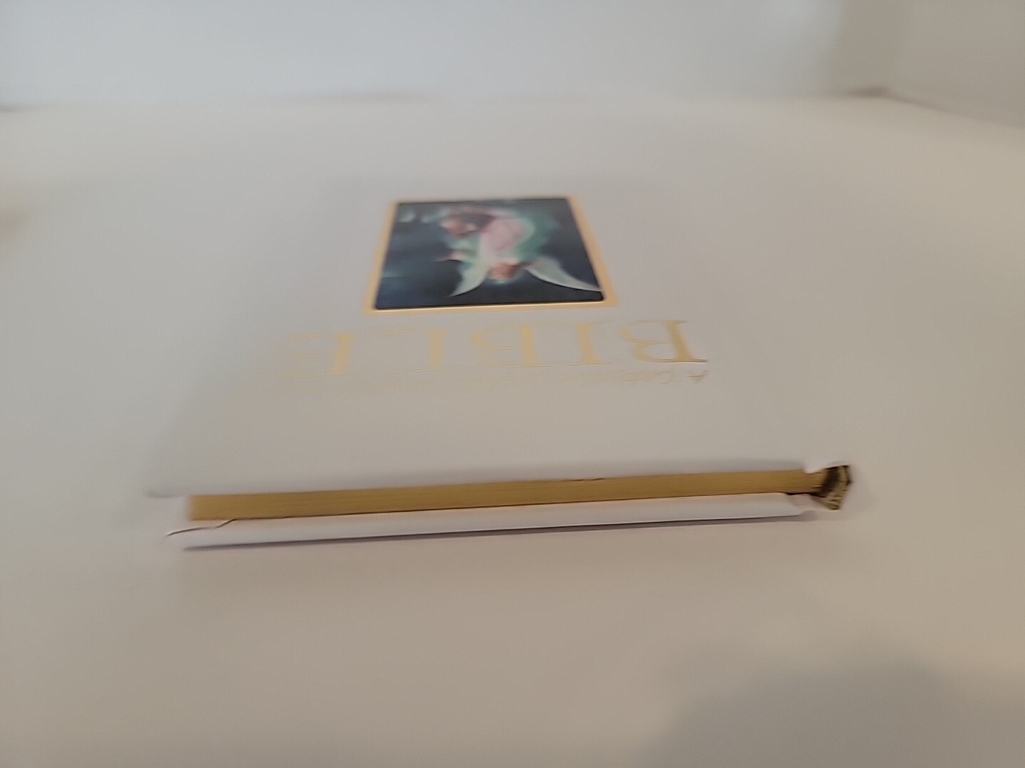 A Catholic Child’s Baptismal Bible – Regina Press Publications