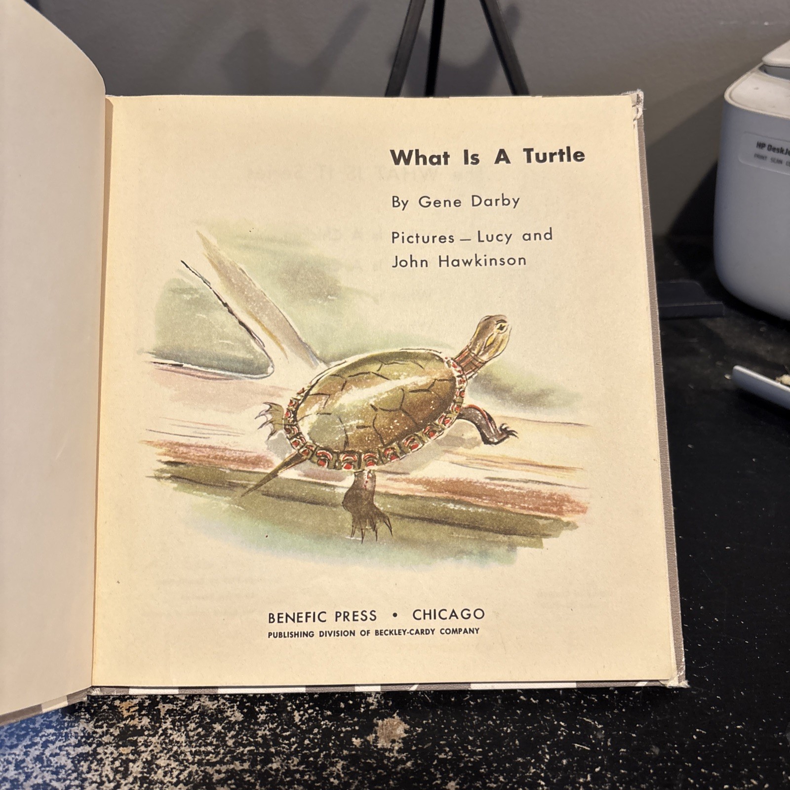 What is a Turtle [Hardcover] Gene Darby and Lucy and John Hawkinson 1959