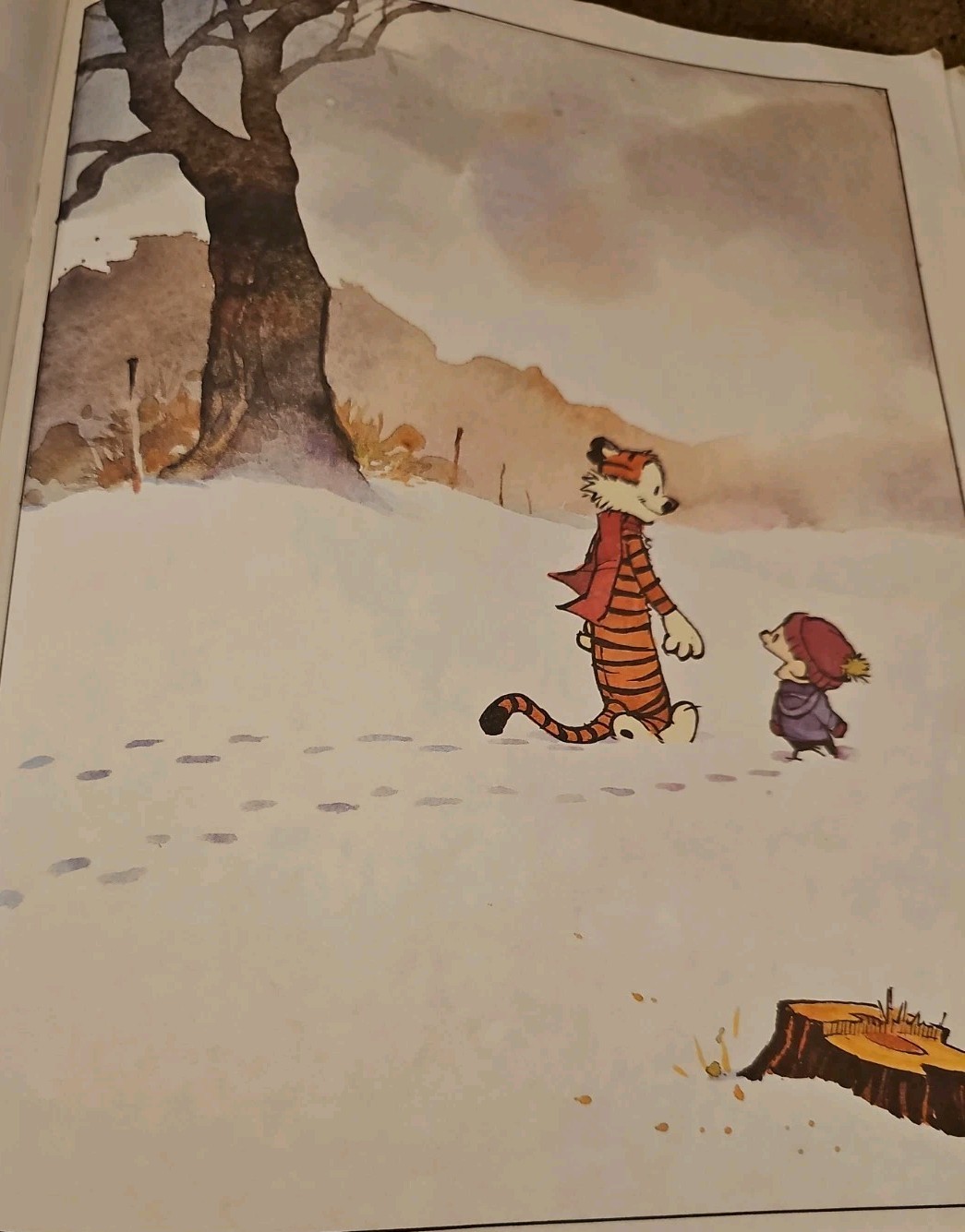The Calvin and Hobbes Lazy Sunday Book by Bill Watterson 1989