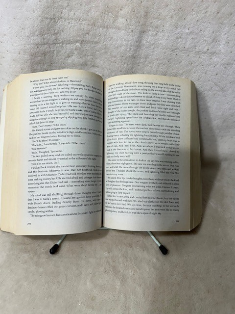 Shantaram by Gregory David Roberts Paperback Novel 2004 Edition *Good* Condition