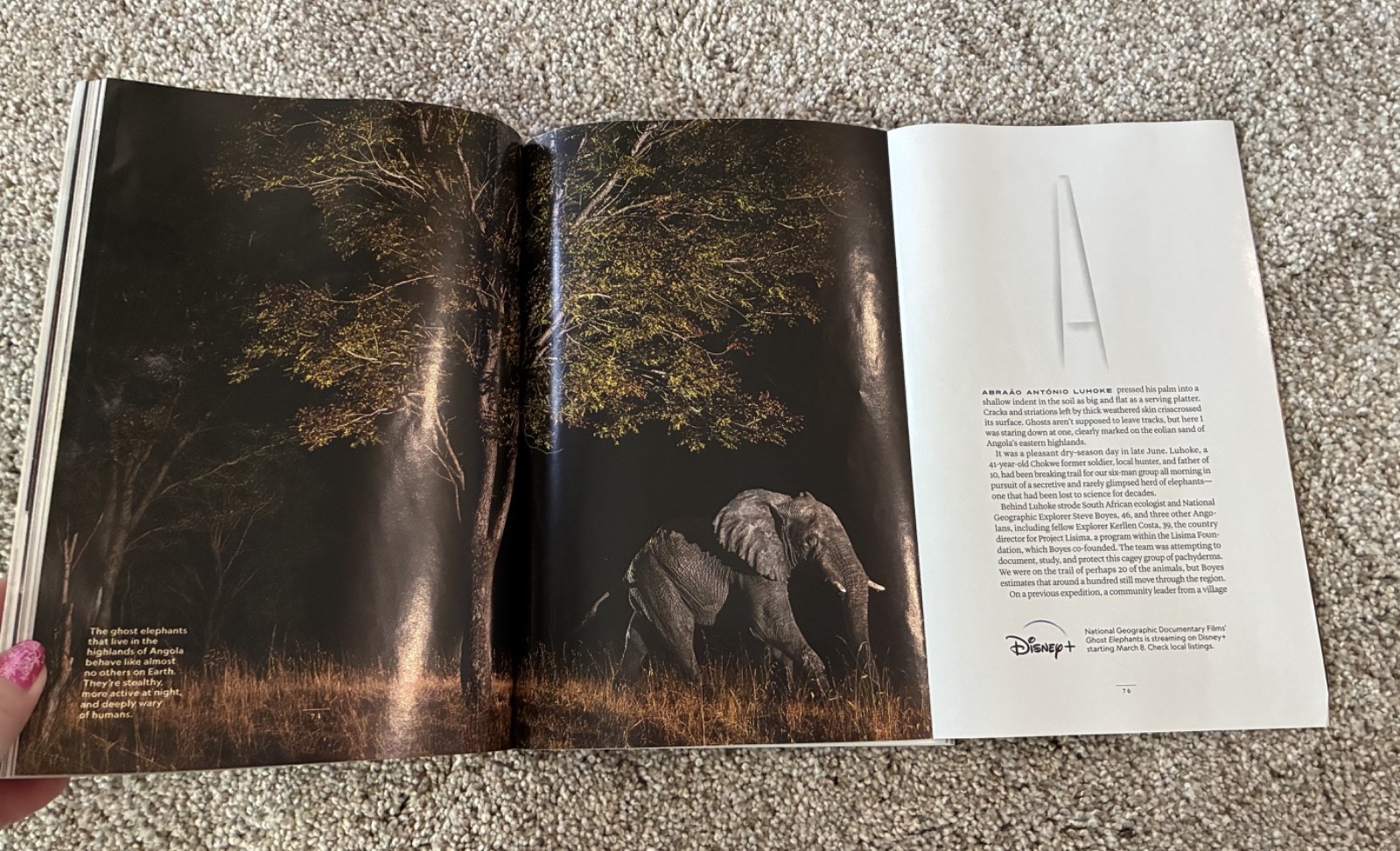 🟥 March 2026 National Geographic magazine Spider Silk, Vikings SPECIAL ISSUE