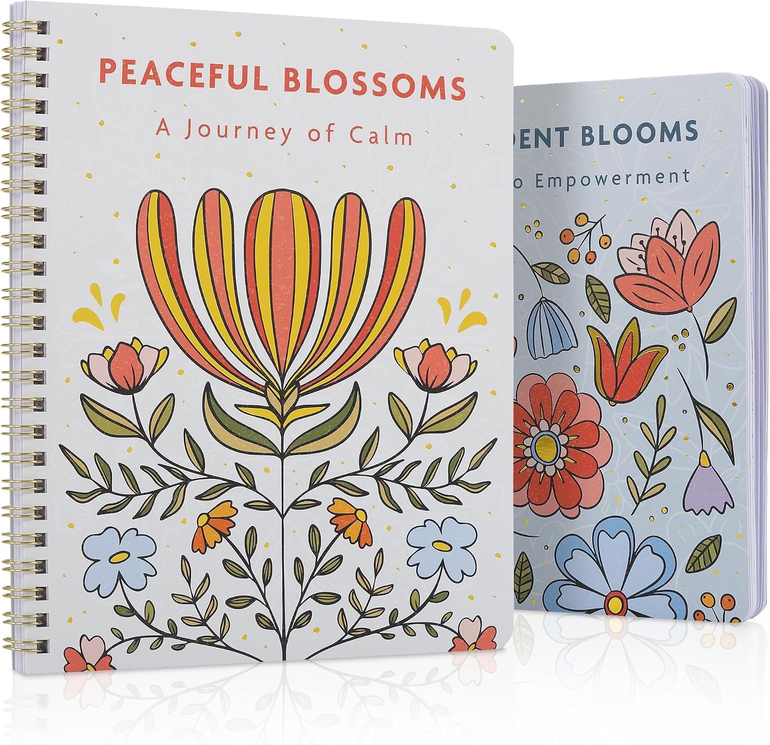 Relax and Create: Adult Coloring Book Set for Mindfulness & Joy – Women’s Gift