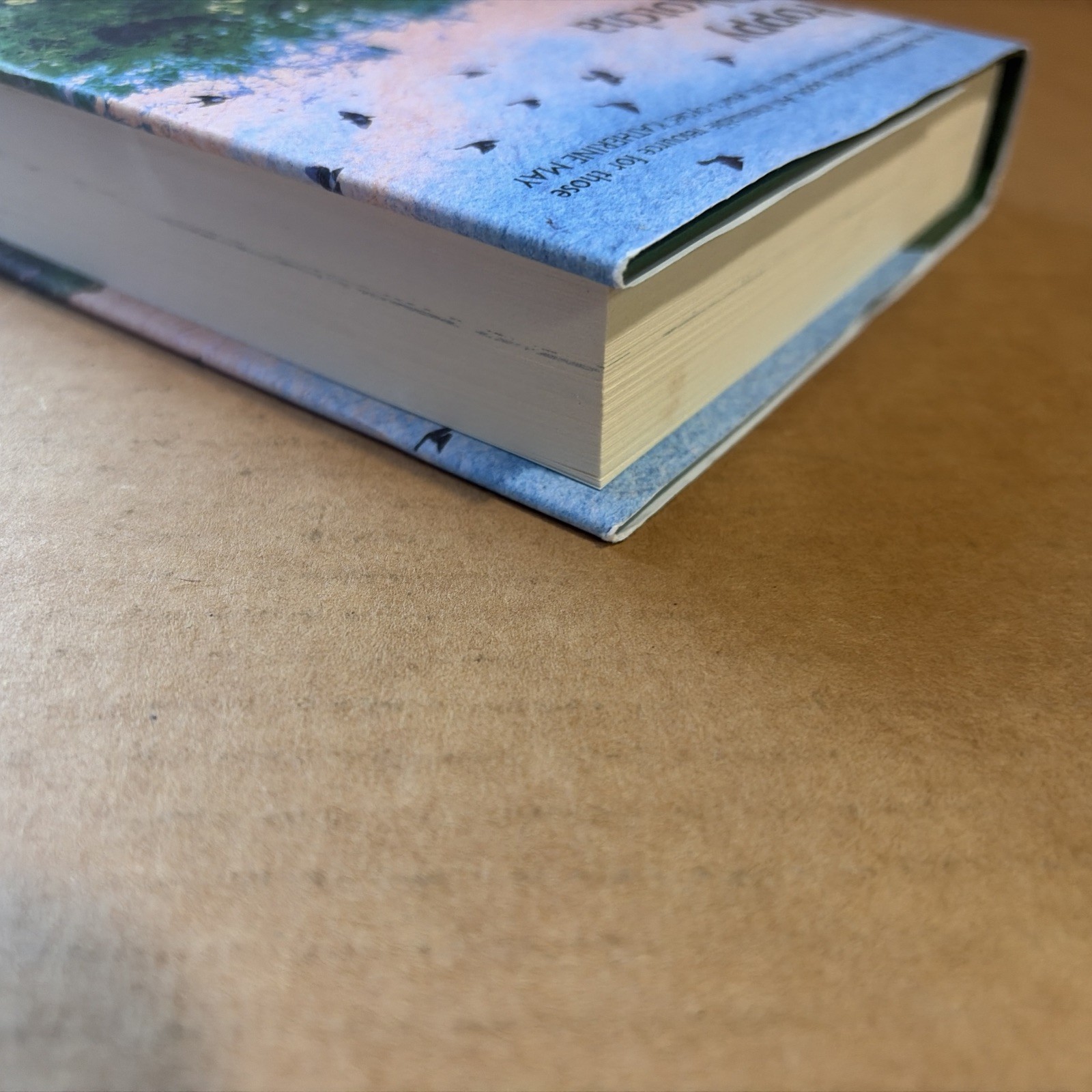 A Wilder Way: How Gardens Grow Us by Poppy Okotcha