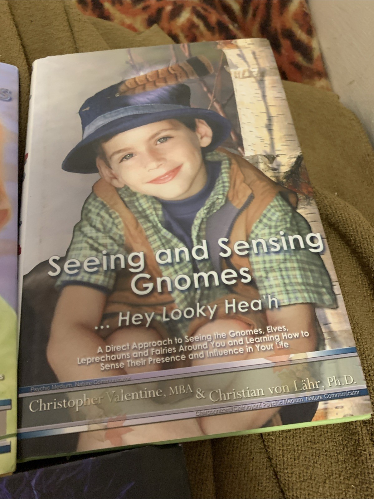 Gnomes Magical Powers Mystical Beings Leprechauns Fairies Occult New Age Magic