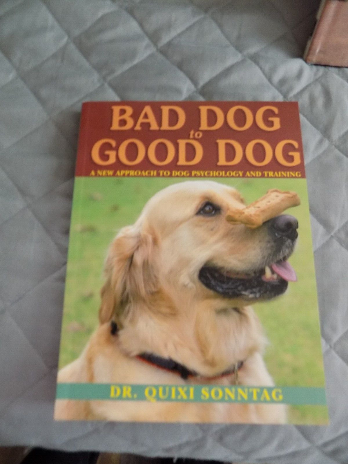 book bad dog to good dog