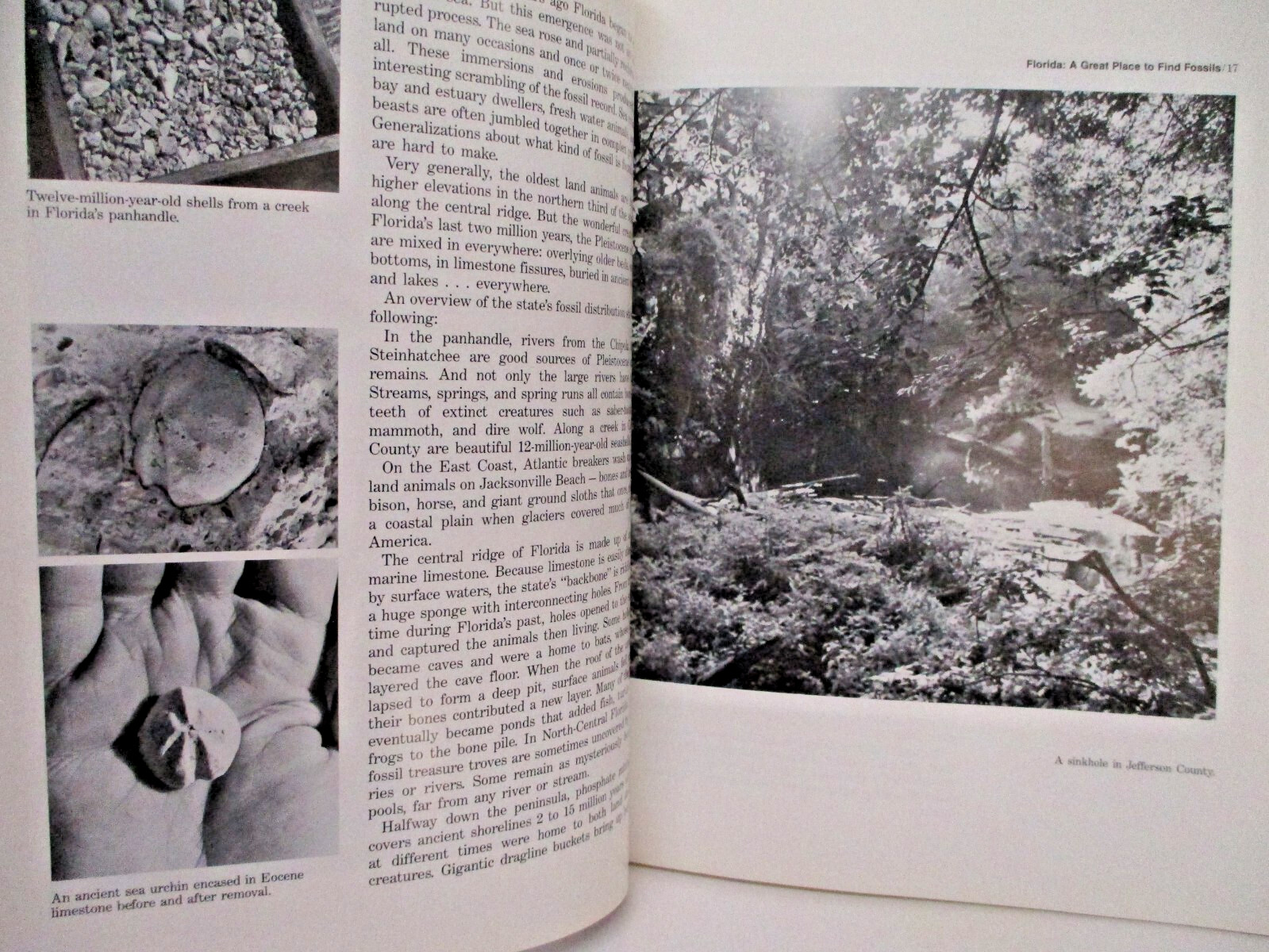 Florida’s Fossils by Brown Guide to Location, Identification and Enjoyment book