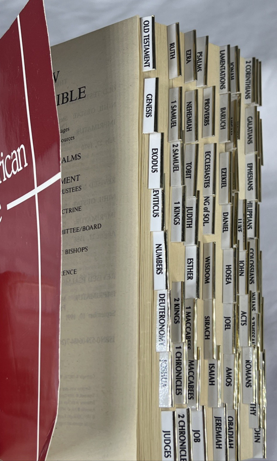 The New American Bible Paperback Revised by World Catholic Press Tabbed Chapters