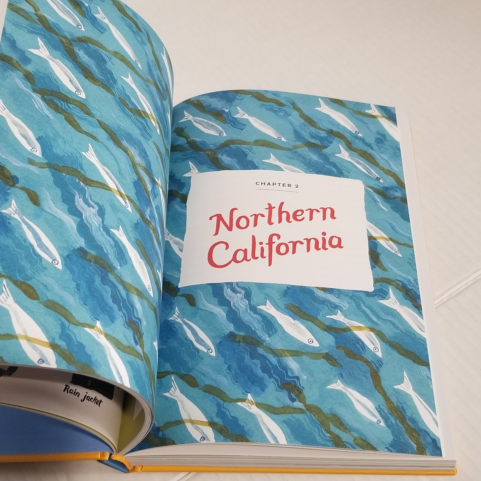 Pacific Coasting by Danielle Kroll A Guide to The Ultimate Road Trip HC 2020