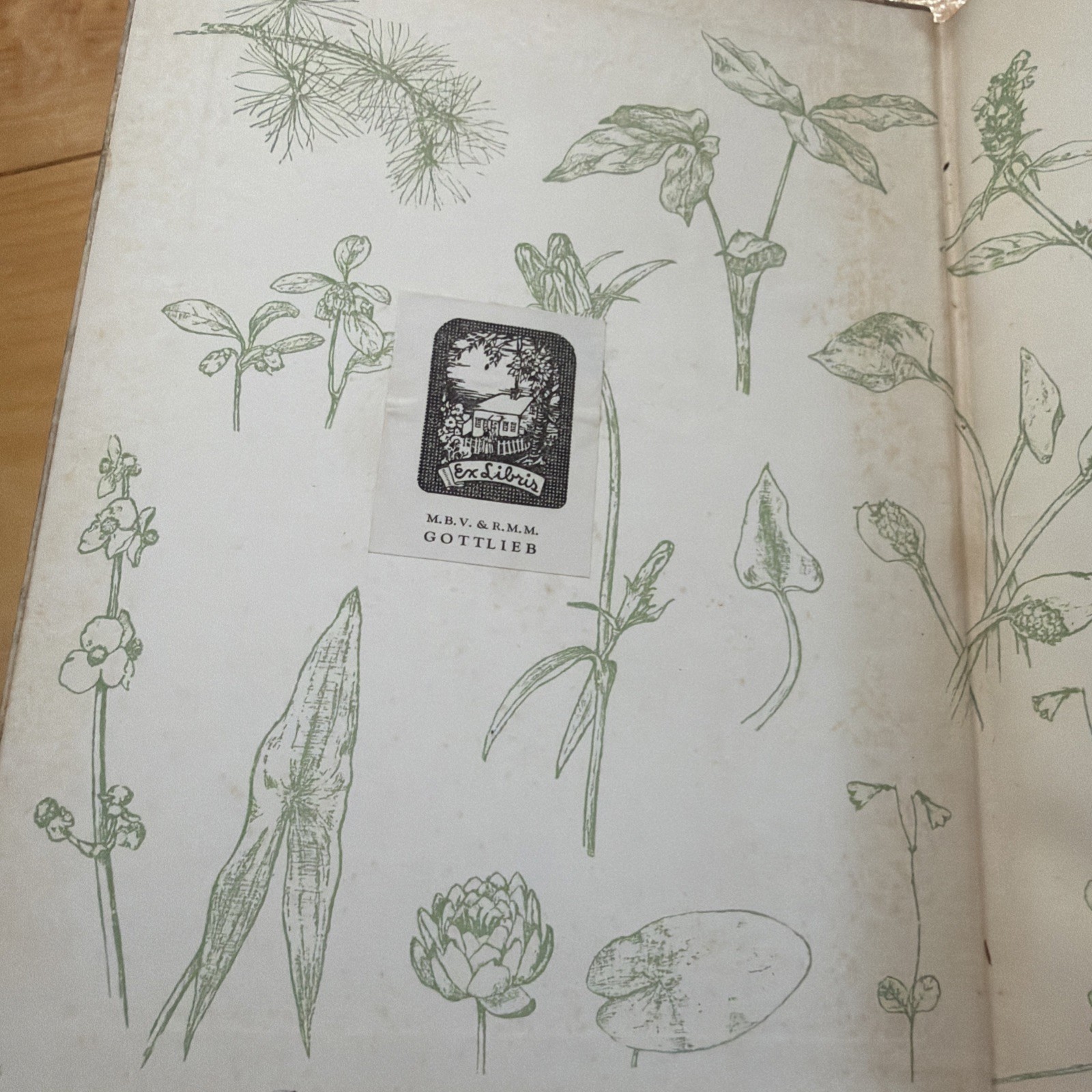 Elf King’s Flowers by Aunt Sadie, 52 Poems 1924