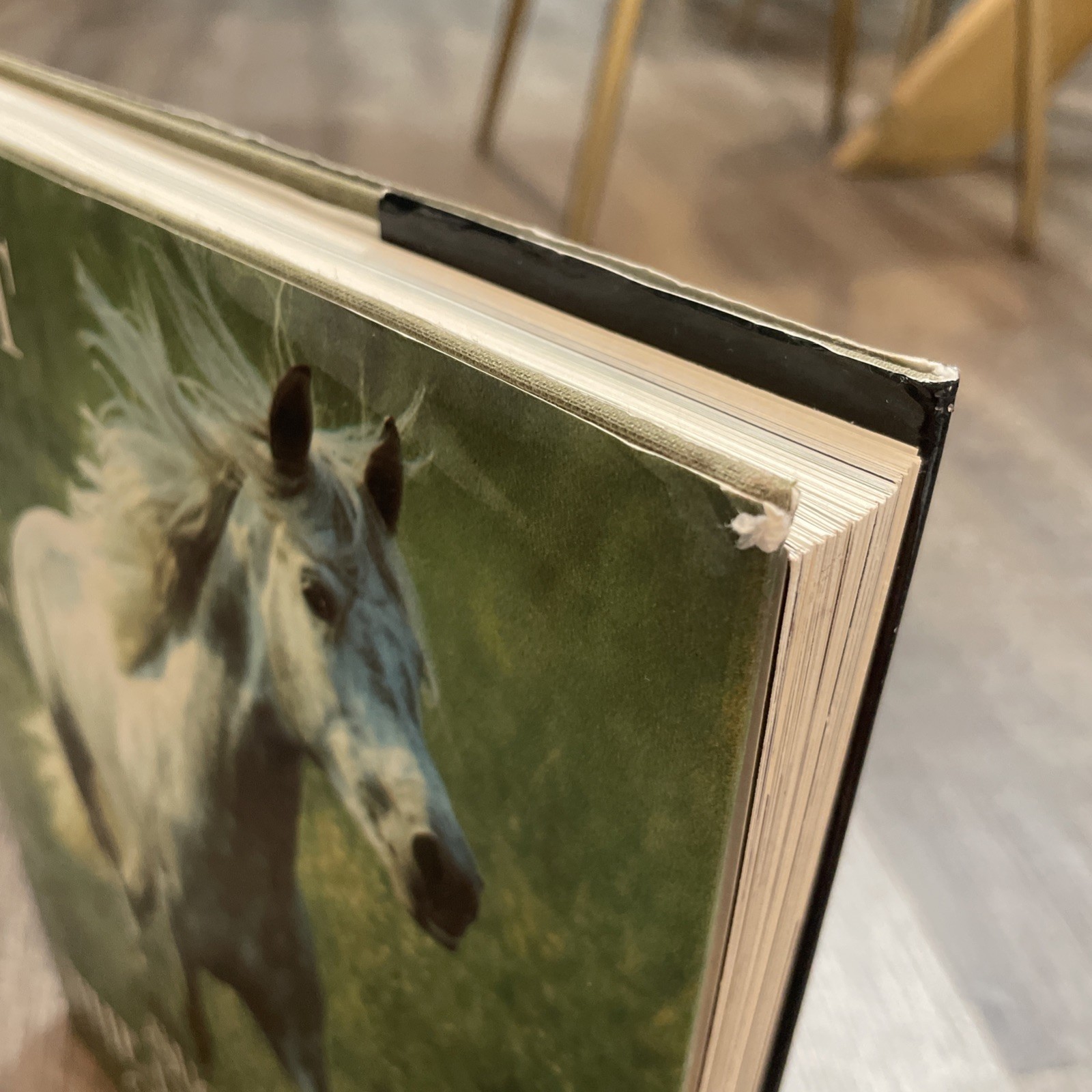 Such Is the Real Nature of Horses by Robert Vavra (1998, Hardcover/Dust Jacket)