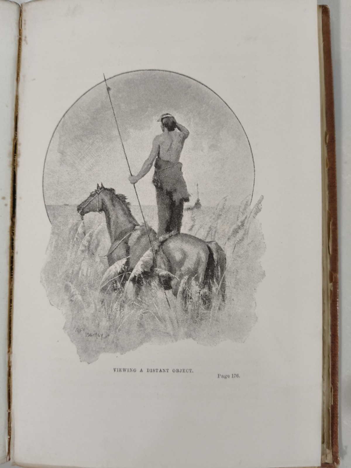 Idle Days in Patagonia W. H. Hudson 1893 1st Edition True First Chapman & Hall