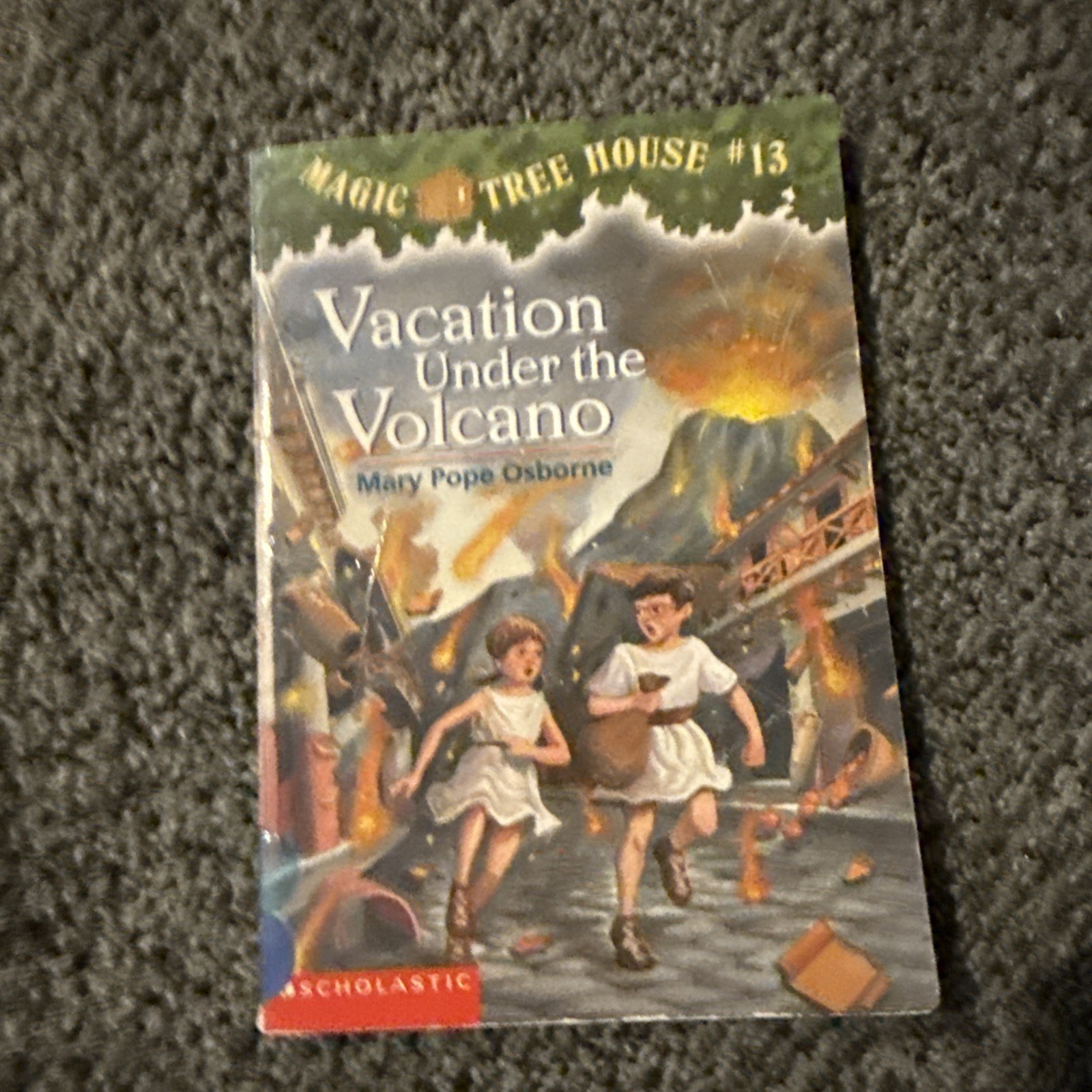 Random Lot Of 10 Children’s Historical Fiction Chapter Books • G/VG Condition