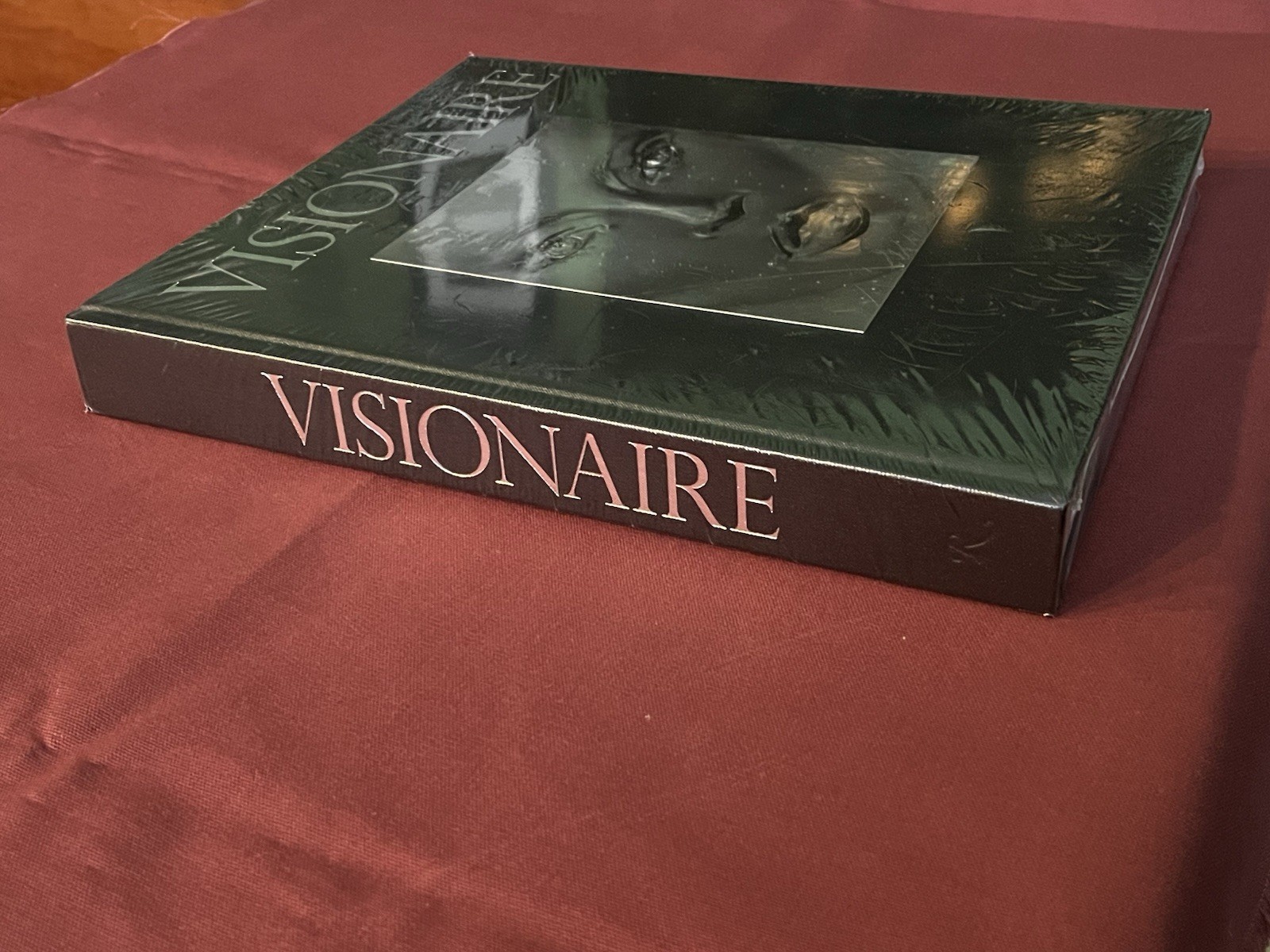 Visionaire Experiences in Art and Fashion (James Kaliardos Cecilia Dean) NWT OOP