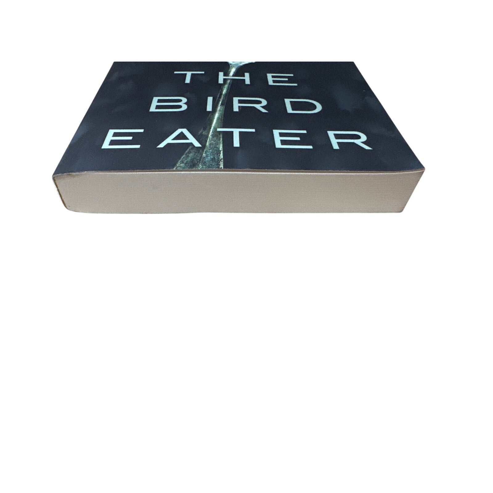The Bird Eater by Ania Ahlborn Paperback Book