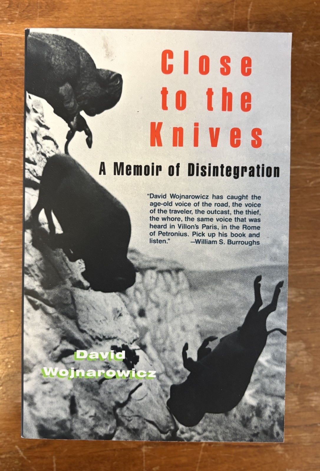 Close to the Knives: Memoir Disintegration David Wojnarowicz 1991 Gay Interest