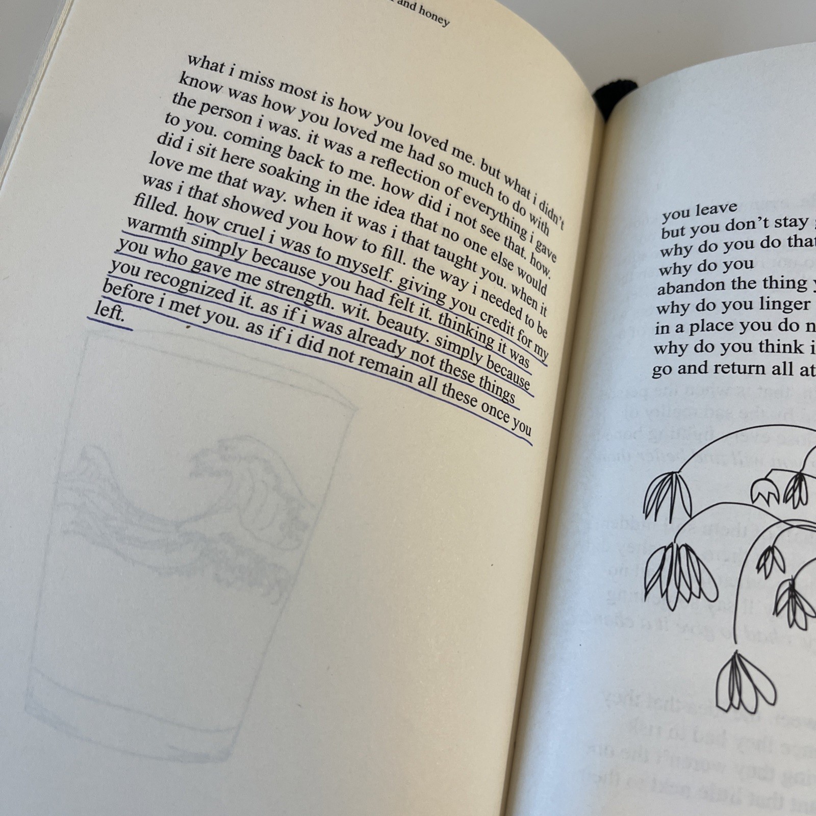 milk and honey by rupi kaur HC 2016 w/Dust Jacket Pre-owned Good Condition