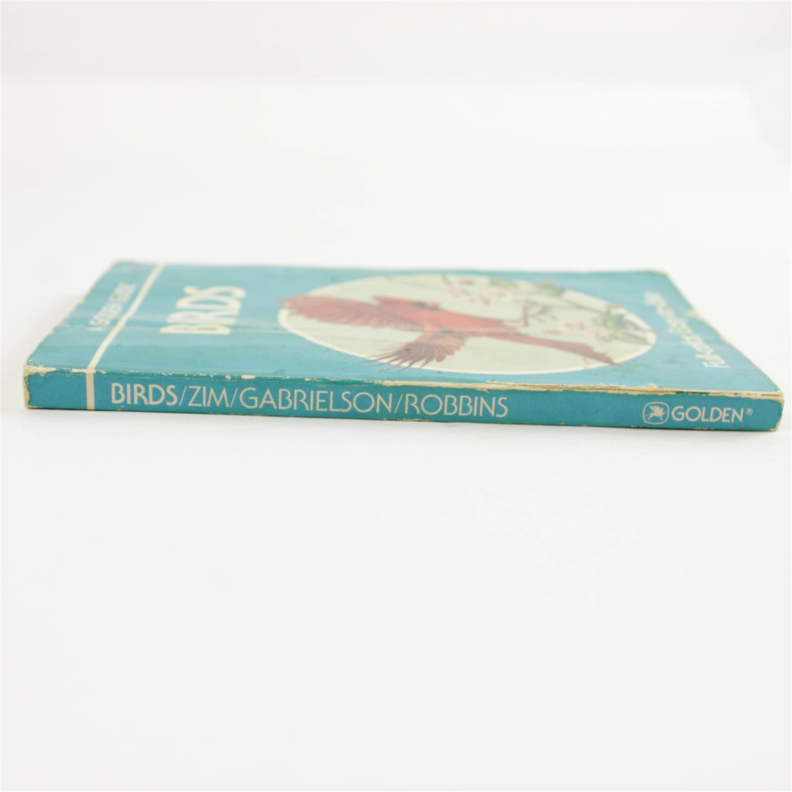 Birds: A Golden Guide 1987 Vintage 160 pg Full-Color American Birds