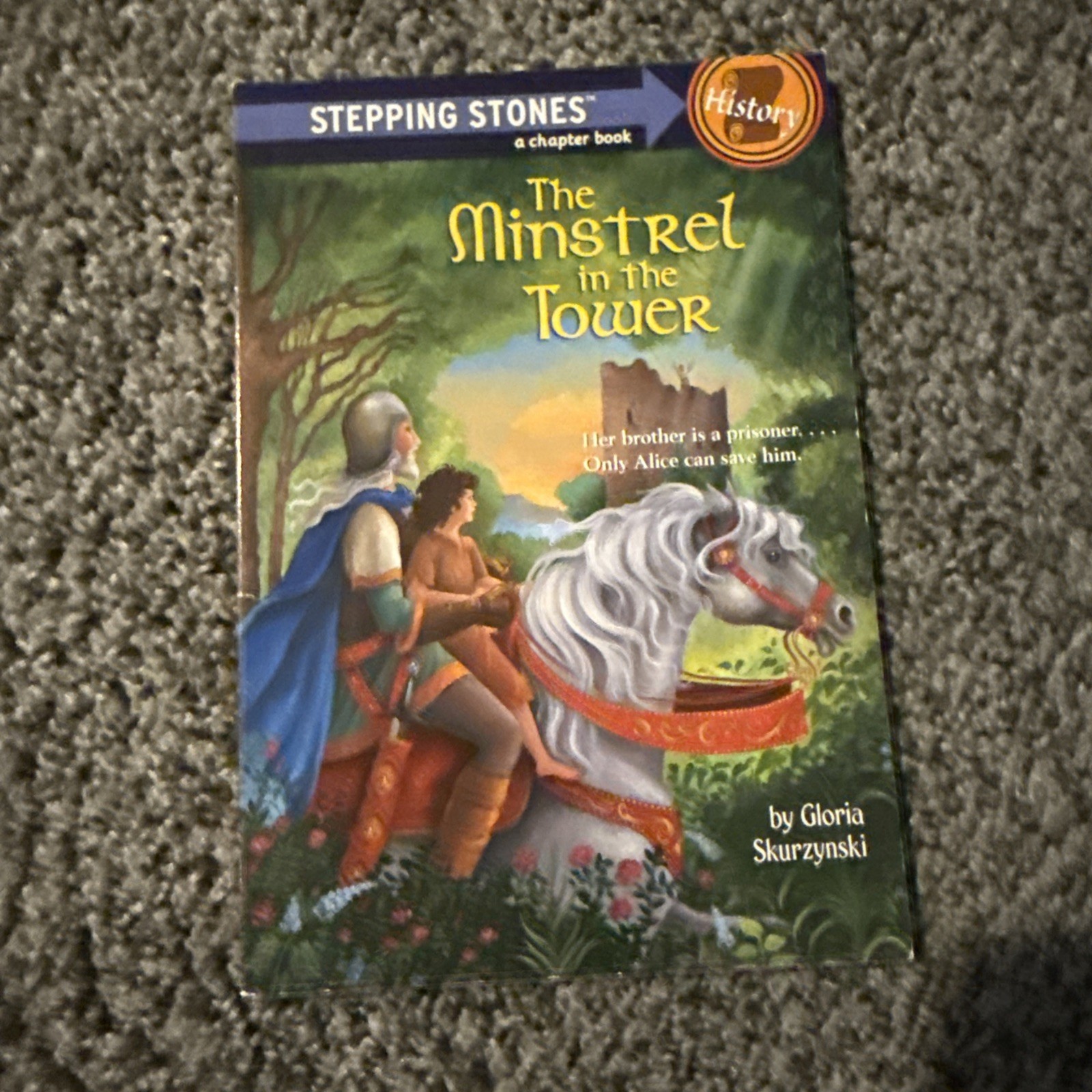 Random Lot Of 10 Children’s Historical Fiction Chapter Books • G/VG Condition