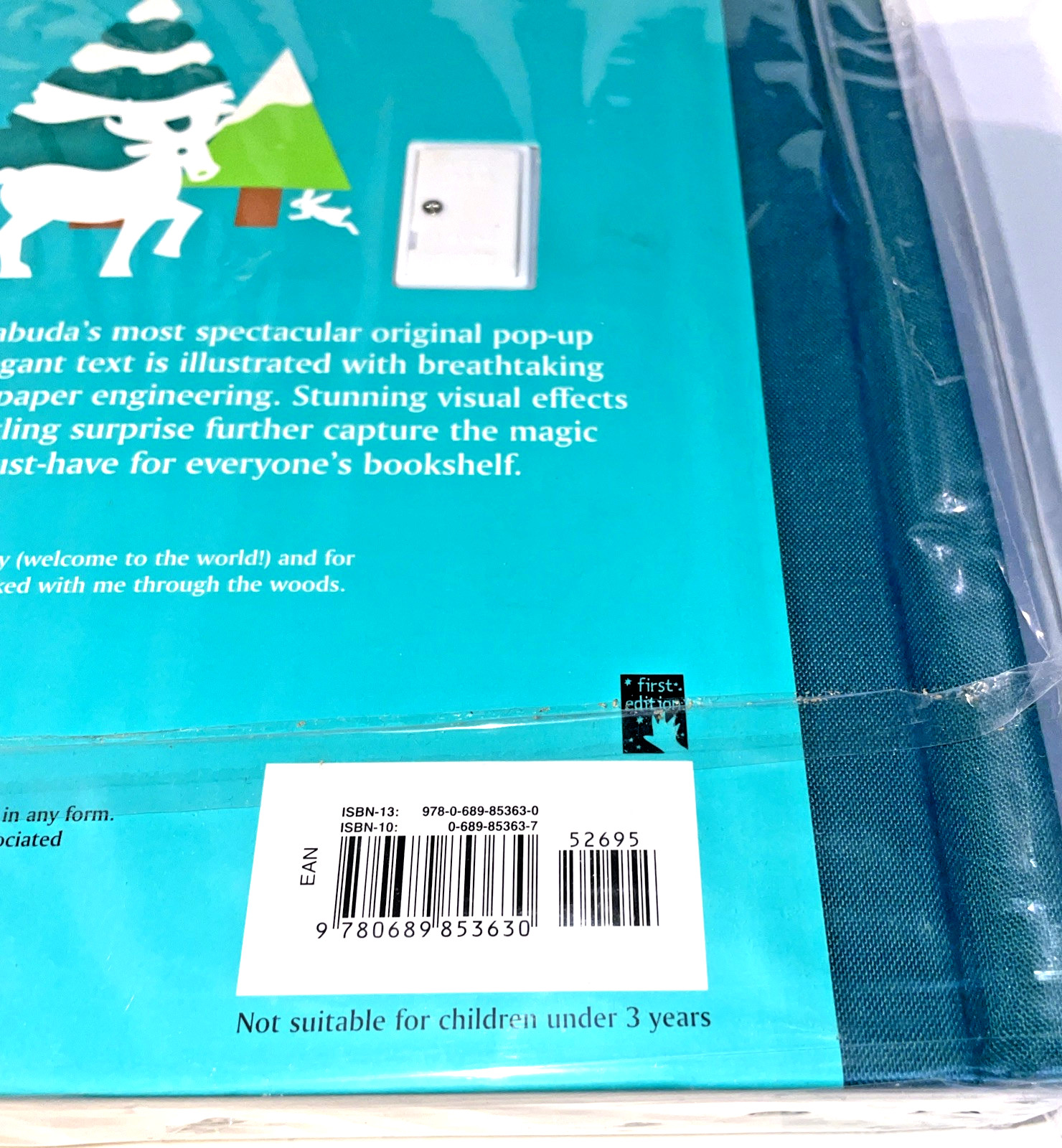 Winters Tale Pop Up Book Robert Sabuda First Edition 3D Glitter 2005 Classic SEE