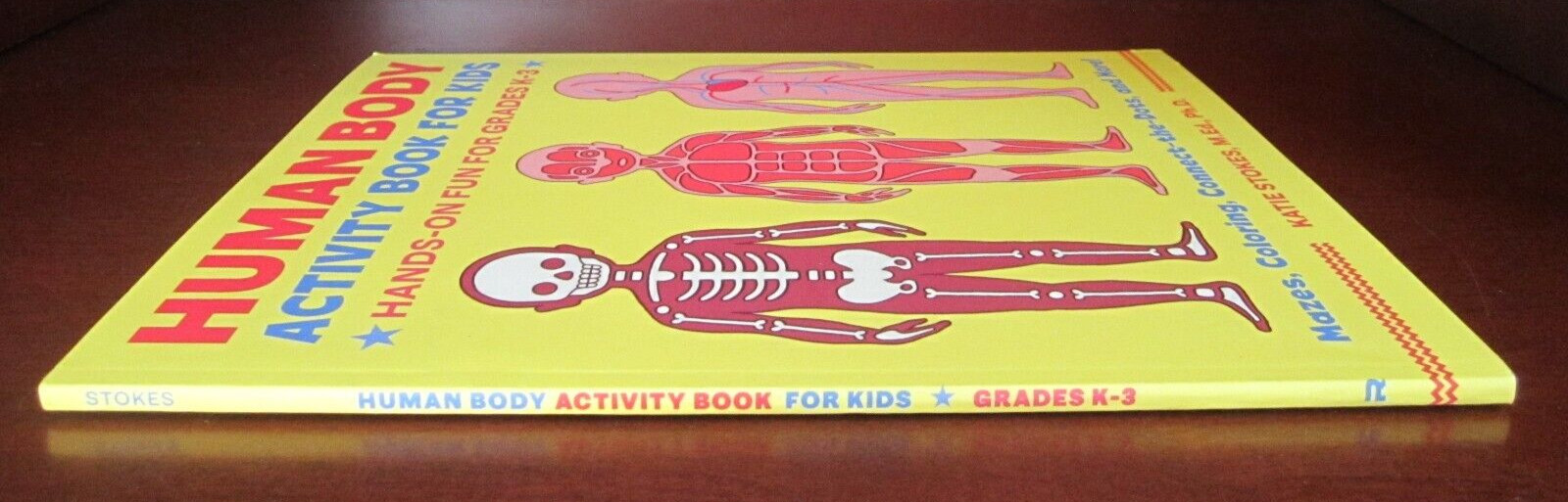Human Body Activity Book for Kids : Hands-On Fun for Grades K-3 by Katie Stokes