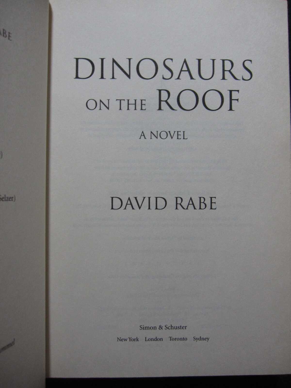 Dinosaurs on the Roof: A Novel Rabe, David