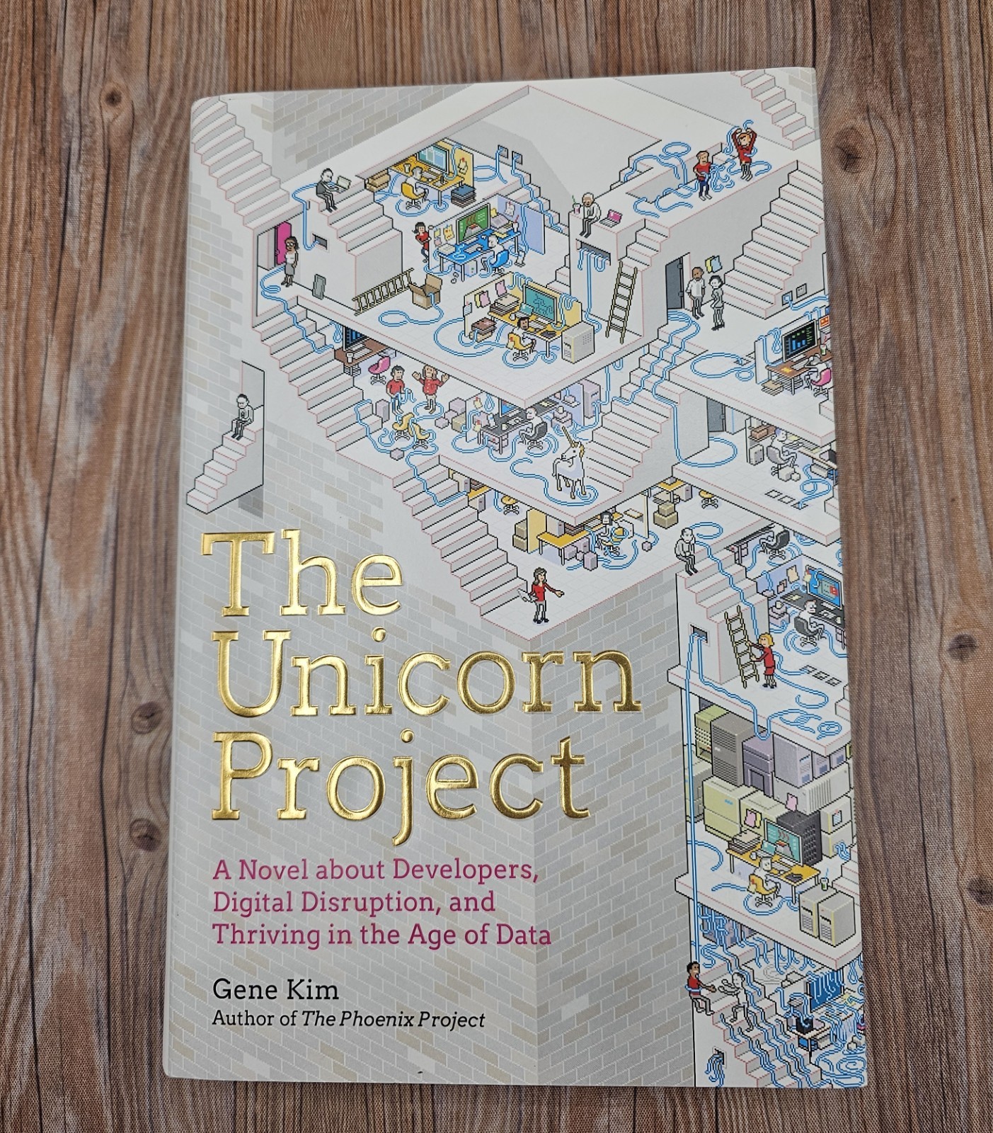 The Unicorn Project: A Novel about Developers by Gene Kim