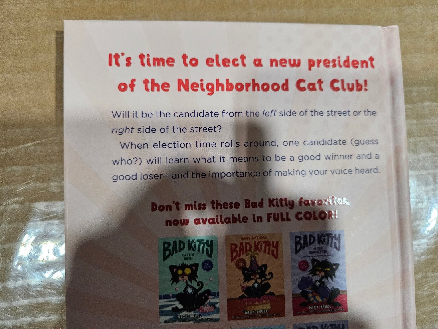 Bad Kitty For President Hardcover Roaring Brook Press Nick Bruel 2021
