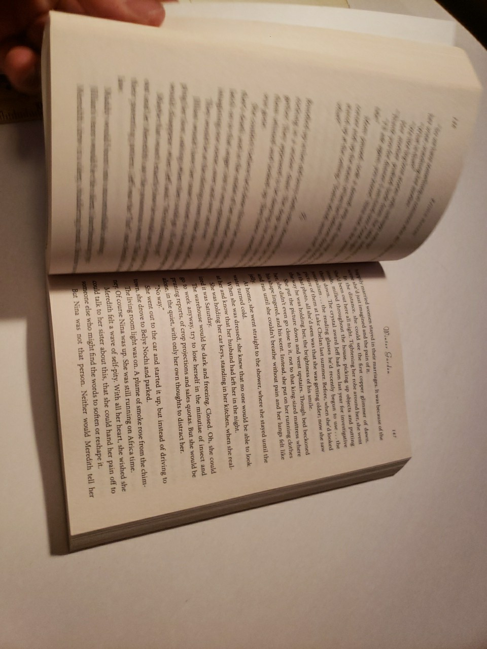 Winter Garden : A Novel by Kristin Hannah (2011, Trade Paperback)