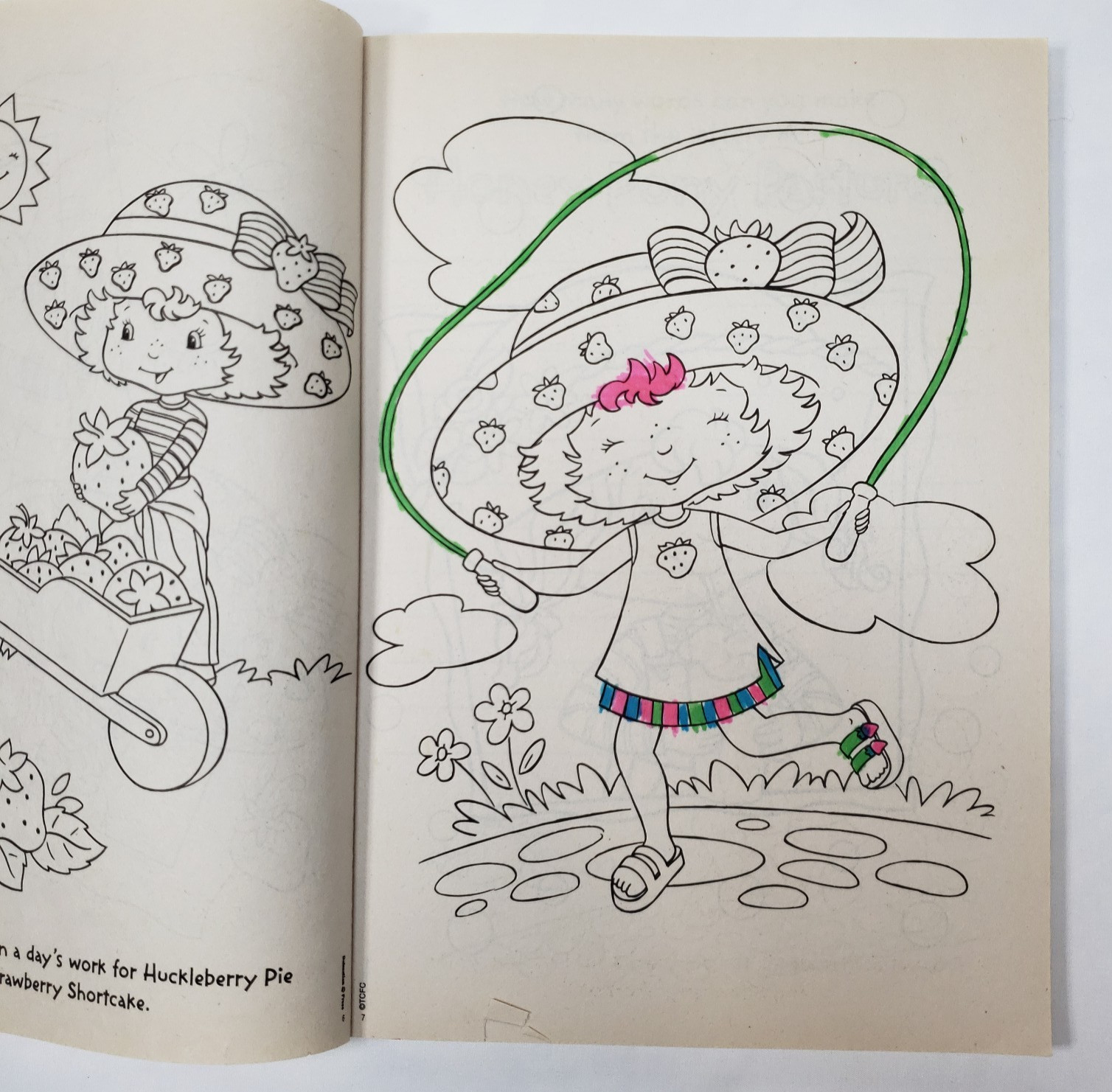 Strawberry Shortcake Coloring Book Dalmatian Press Vintage 2004 USED Berry Cool