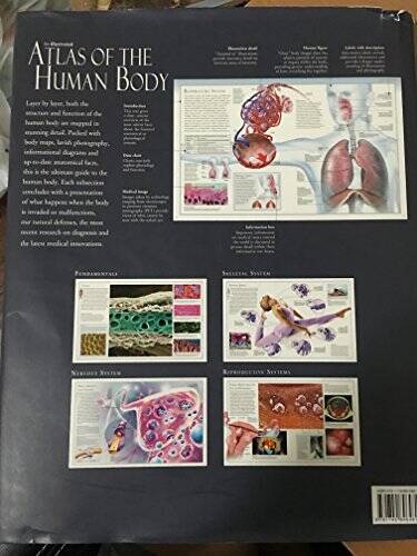 The Illustrated Atlas of the Human Body – Hardcover By Beverly McMillan – GOOD