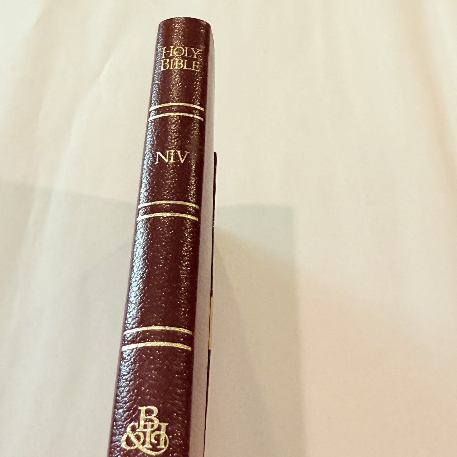 The Holman Pocket-Size Bible: New International Version : Burgundy Bonded