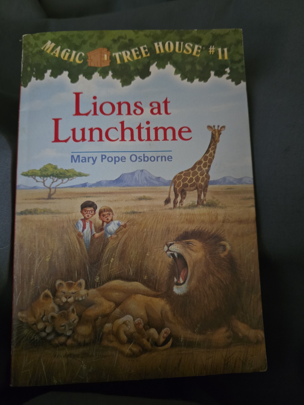 Lions At Lunchtime Magic Tree House #11