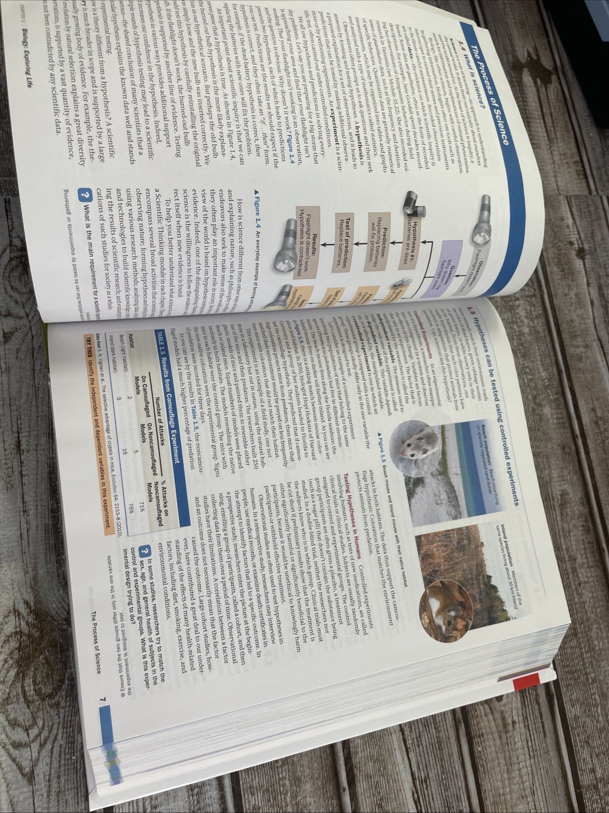 Campbell Biology: Concepts & Connections [RENTAL EDITION] (10th Edition) – VG