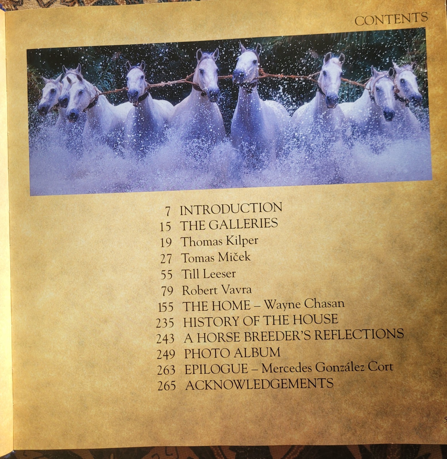 CARDENAS: HORSES & HOME By Robert Vavra HC/DJ Beautiful Coffee Table Book!
