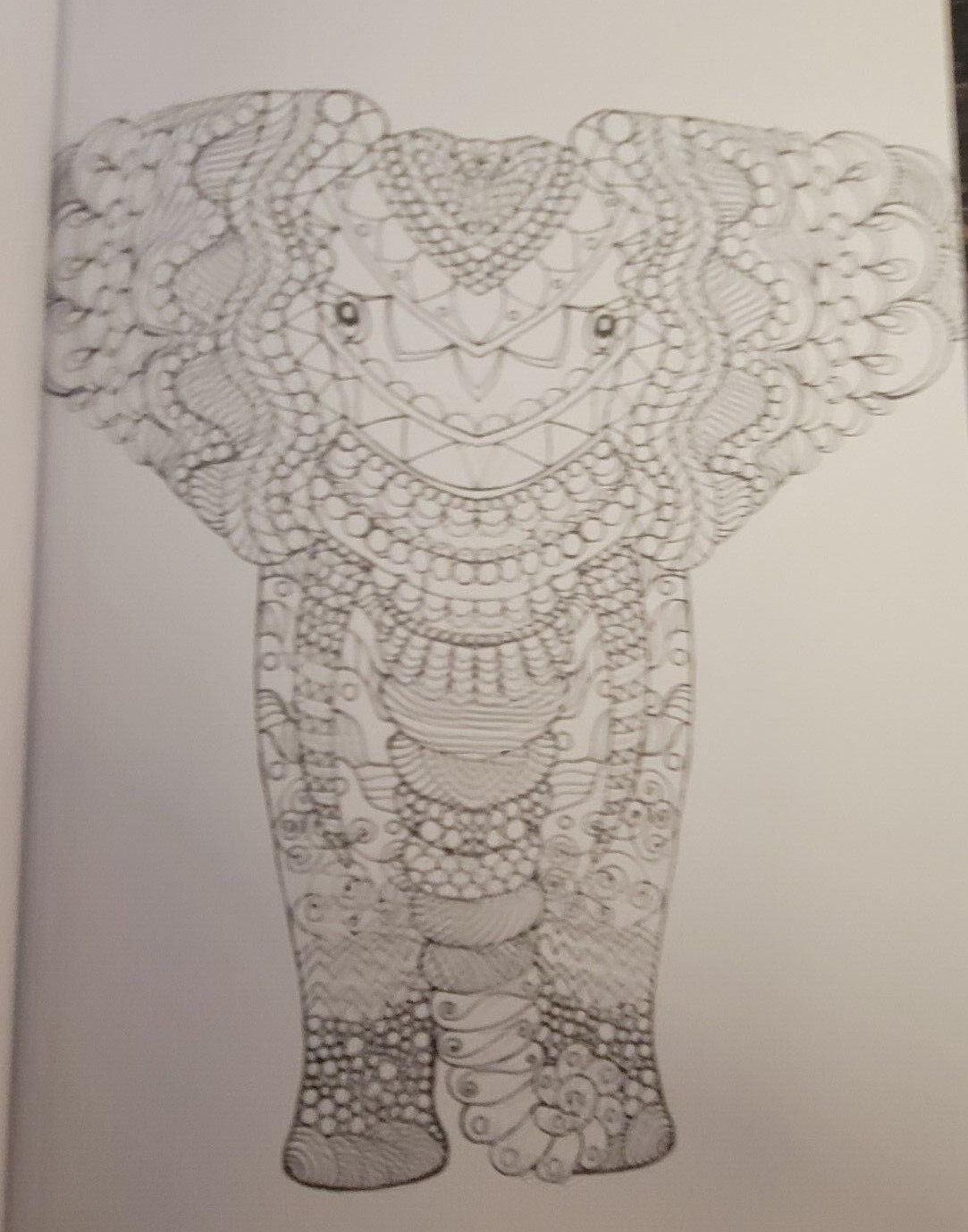 COLORS OF THE WILD Vol 22 Adult Coloring Book With 47 Prints Ready To Frame