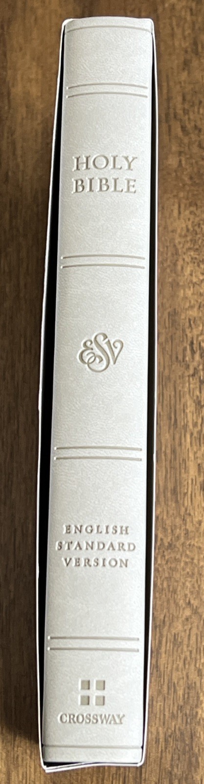 ESV Large Print Value Thinline Bible (Trutone, River Stone, Branch Design): New