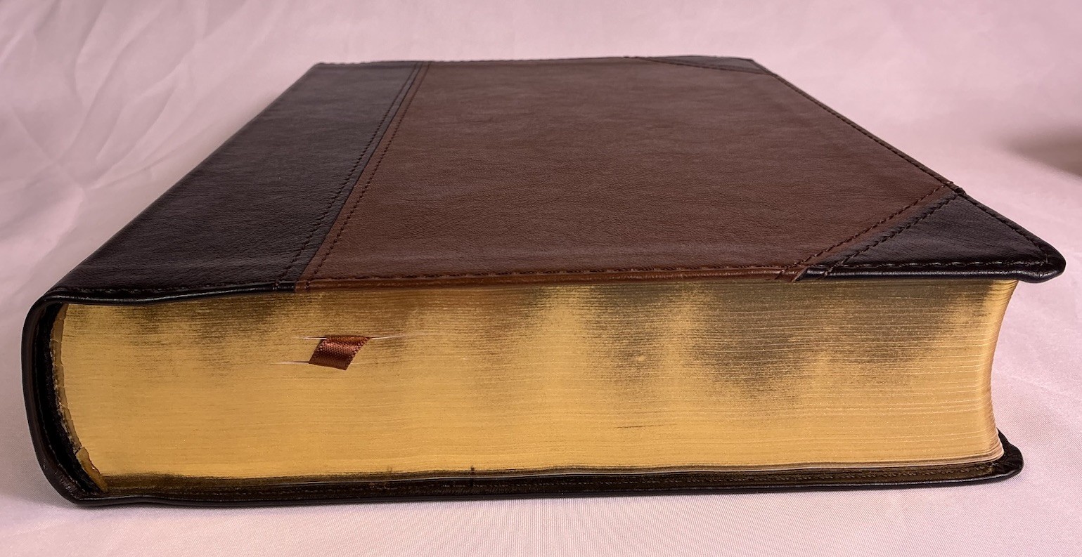 Tony Evans Study Bible (Indexed, CSB Holman) Advancing God’s Agenda, Black/Brown