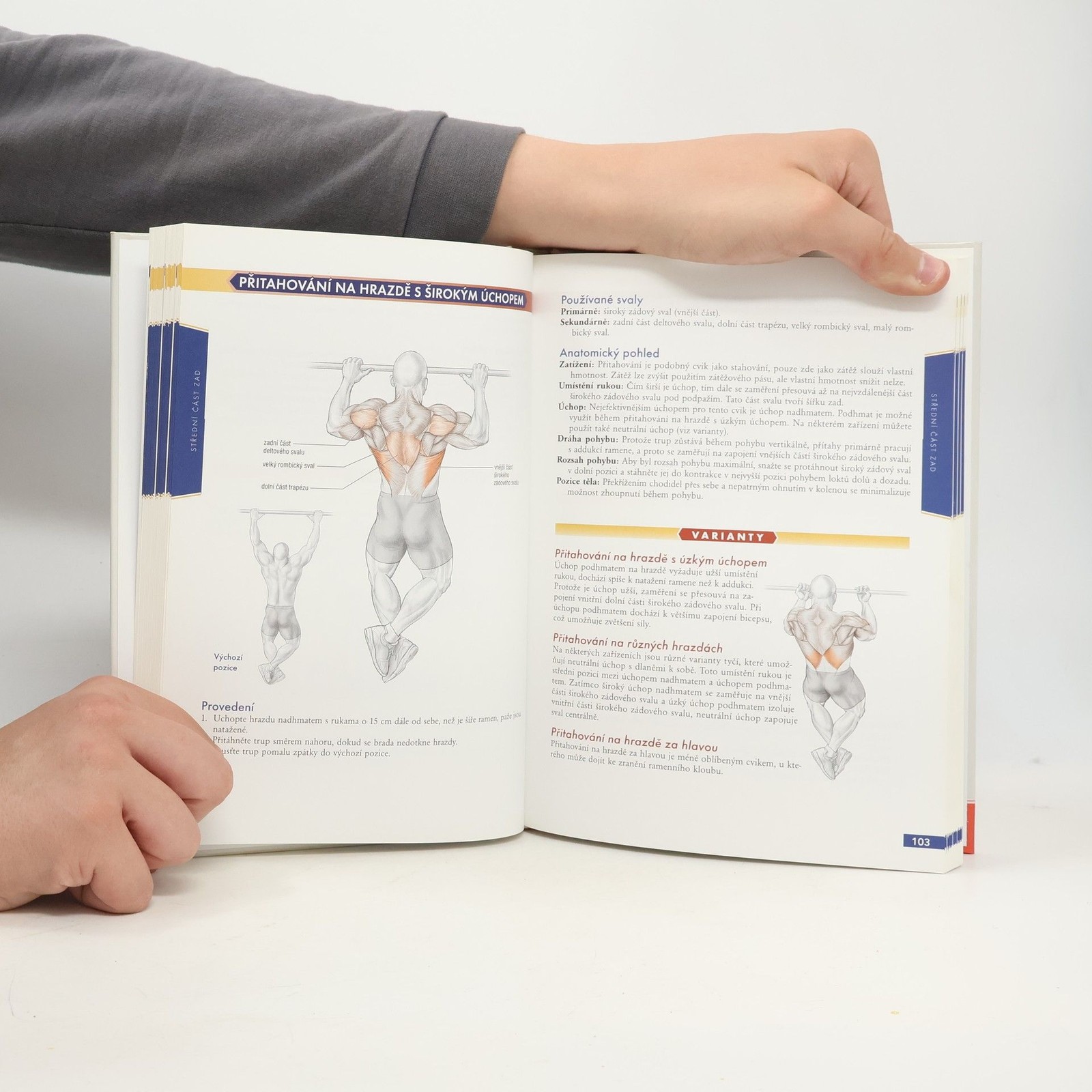 Bodybuilding – anatomie  |  Nick Evans