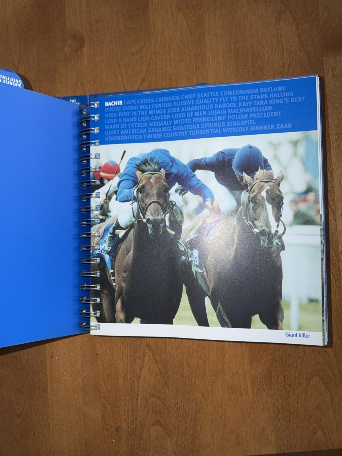 Darley Stallions 2001 Season Book RARE Racing Memorabilia