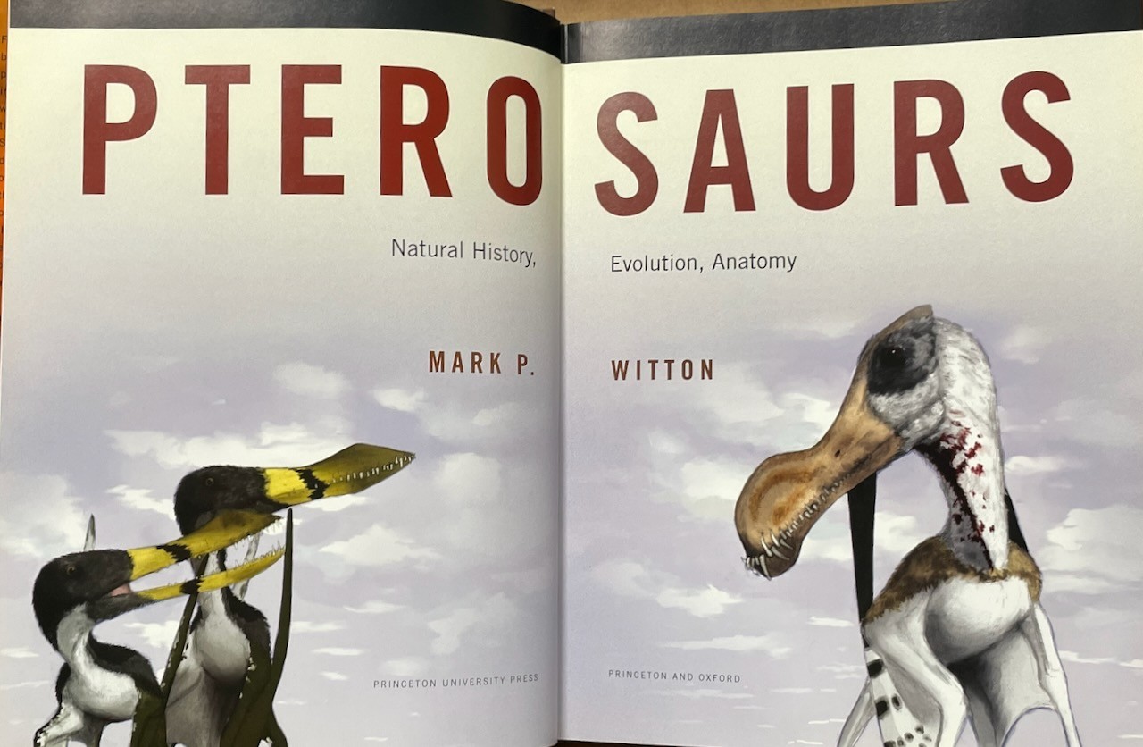 Pterosaurs: Natural History, Evolution, Anatomy / Mark Witton / Princeton HC