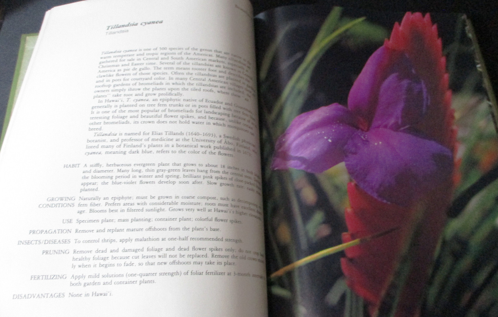 HAWAII GARDEN TROPICAL EXOTICS Horace Clay SIGNED HC 1ST 1977 Gardening Plants