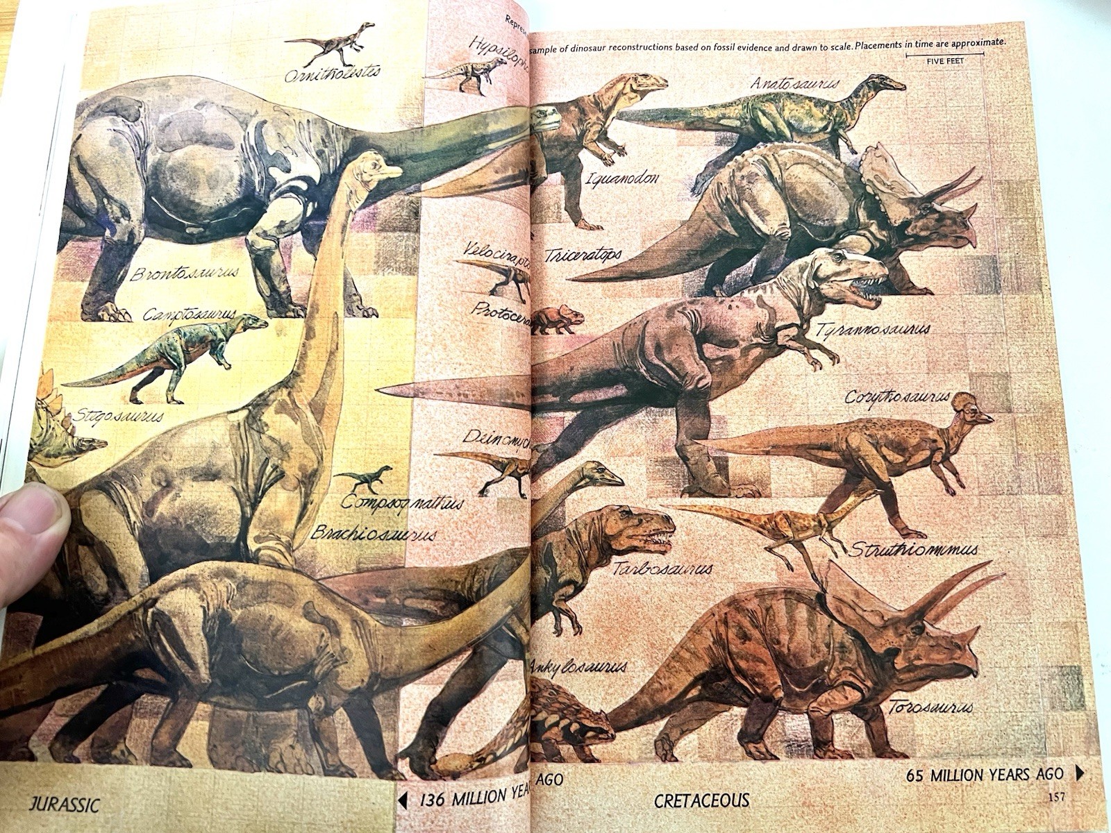 Vintage Dinosaur Kids Book Bundle ~ Dinosaurs National Geographic Illustrated