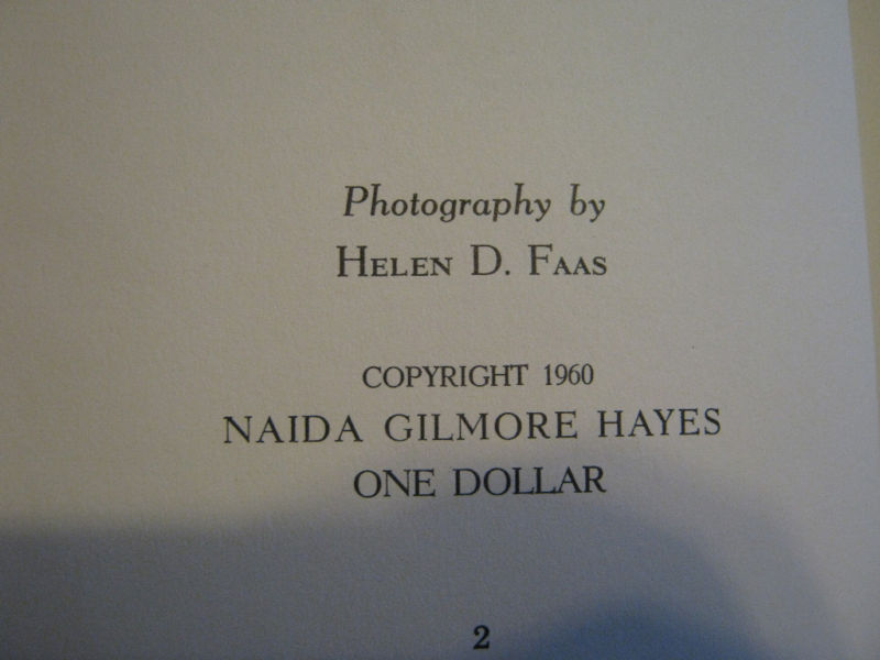 1960 Woodforms and Dry Material by Naida Gilmore Hayes