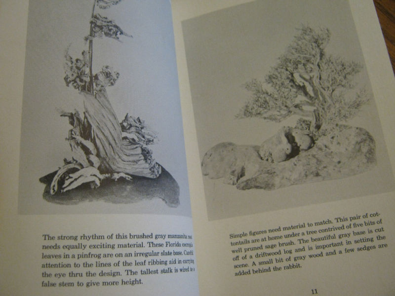 1960 Woodforms and Dry Material by Naida Gilmore Hayes