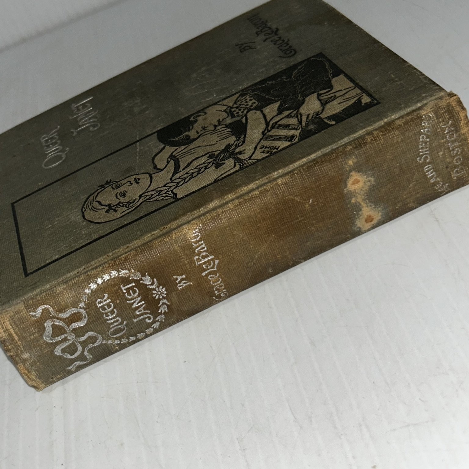 Queer Janet Grace Le Baron 1897 Illustrated Children’s Juvenile Lee & Shepard