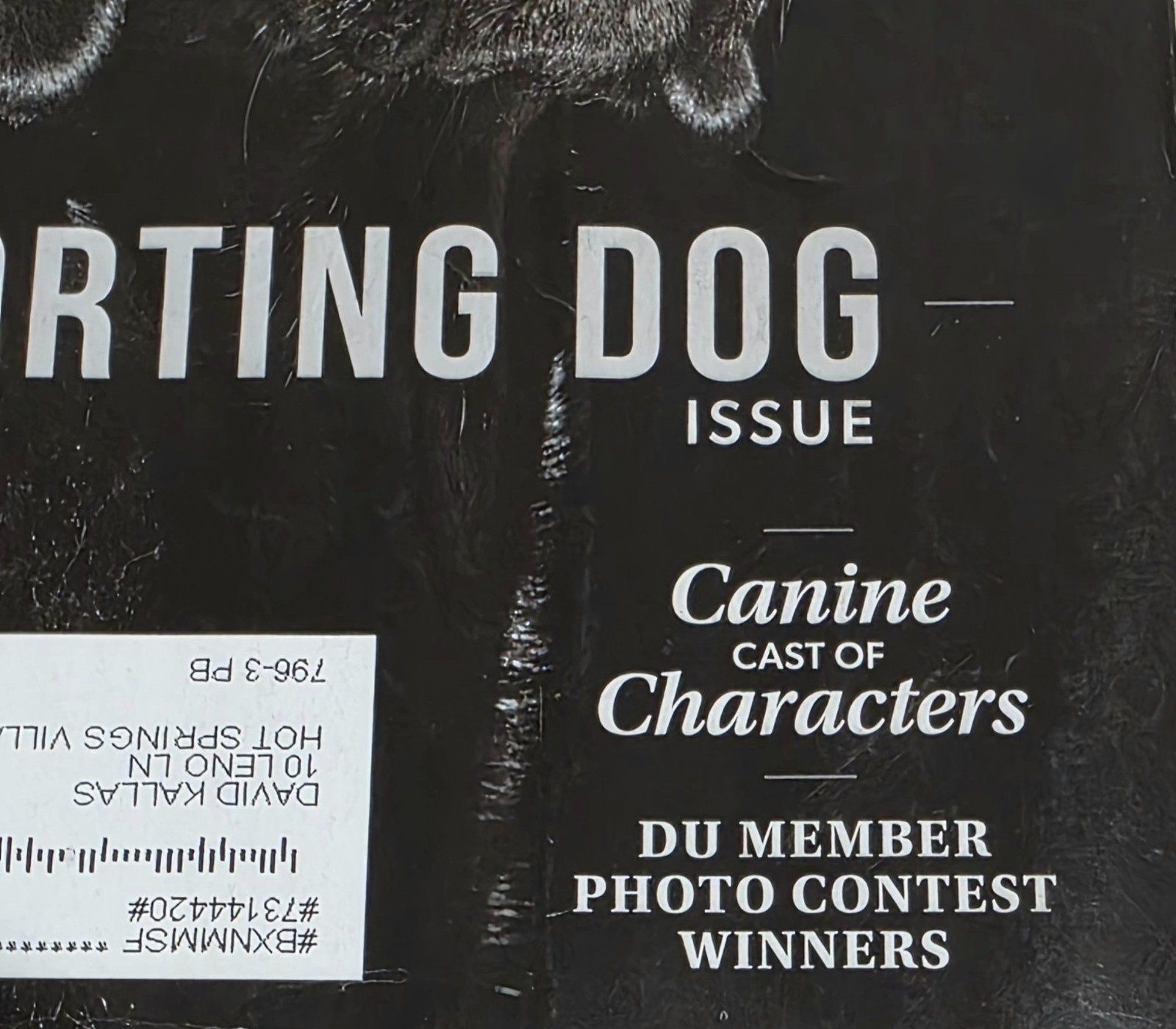 DUCKs UNLIMITED MAGAZINE “The SPORTING DOG ISSUE” 92 Pages May/June 2023